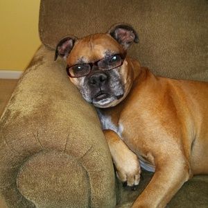 Meet your Posher, Beth